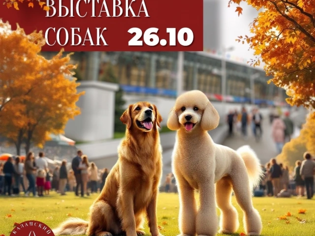Выставка собак на Казанском ипподроме