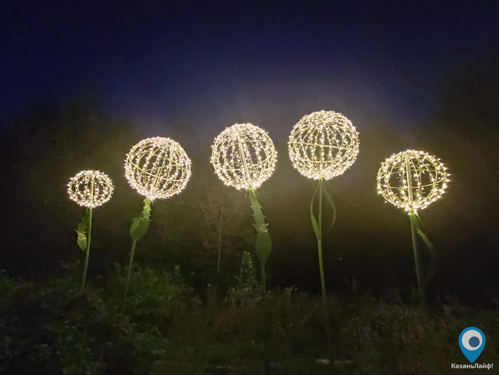 Светящиеся одуванчики в Горкинско-ометьевском лесу