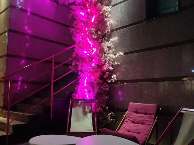 Розовая фотозона кафе ПэПэ