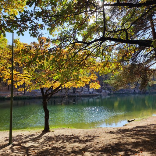 Озеро Комсомольское в Дербышках 1