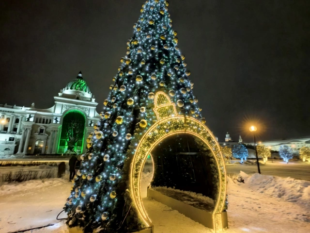 Новогодняя елка в парке у Дворца земледельцев