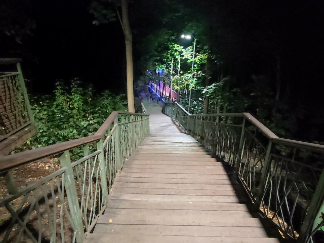 Лестница в Горкинско-ометьевском лесу