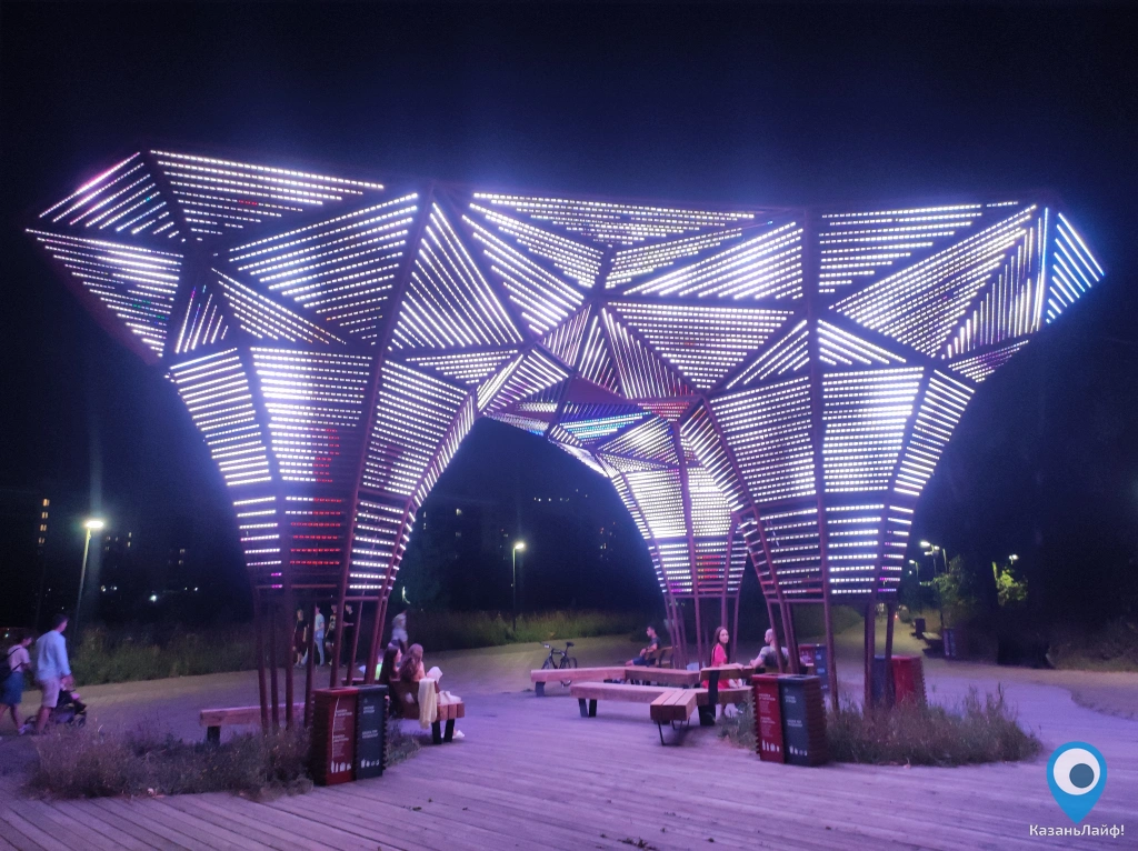 Светящаяся инсталляция в Горкинско-ометьевском лесу