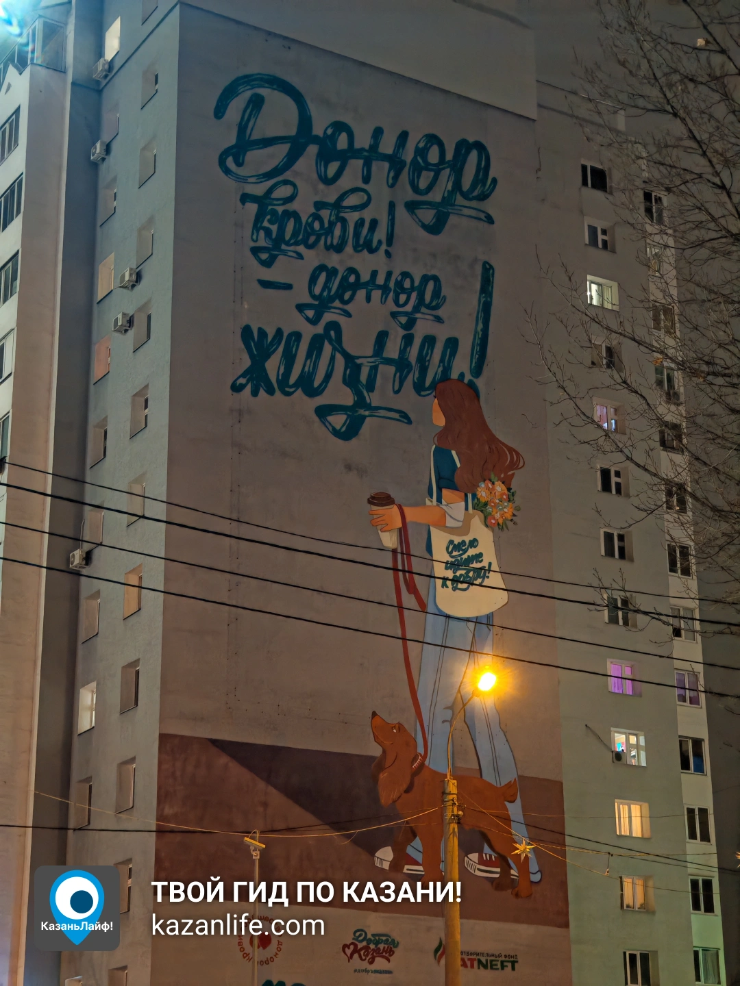 Мурал Донор крови - донор жизни