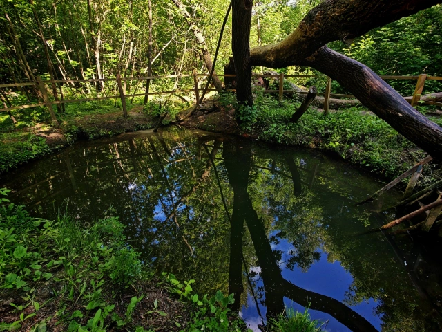 Купель, Новаторов, Солдатский пляж