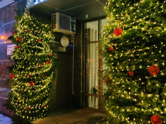 Фотозона Felice