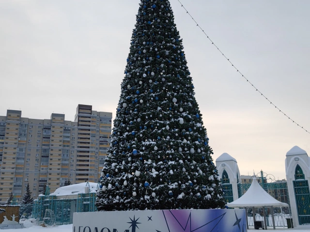 Новогодняя елка у Казанского ипподрома