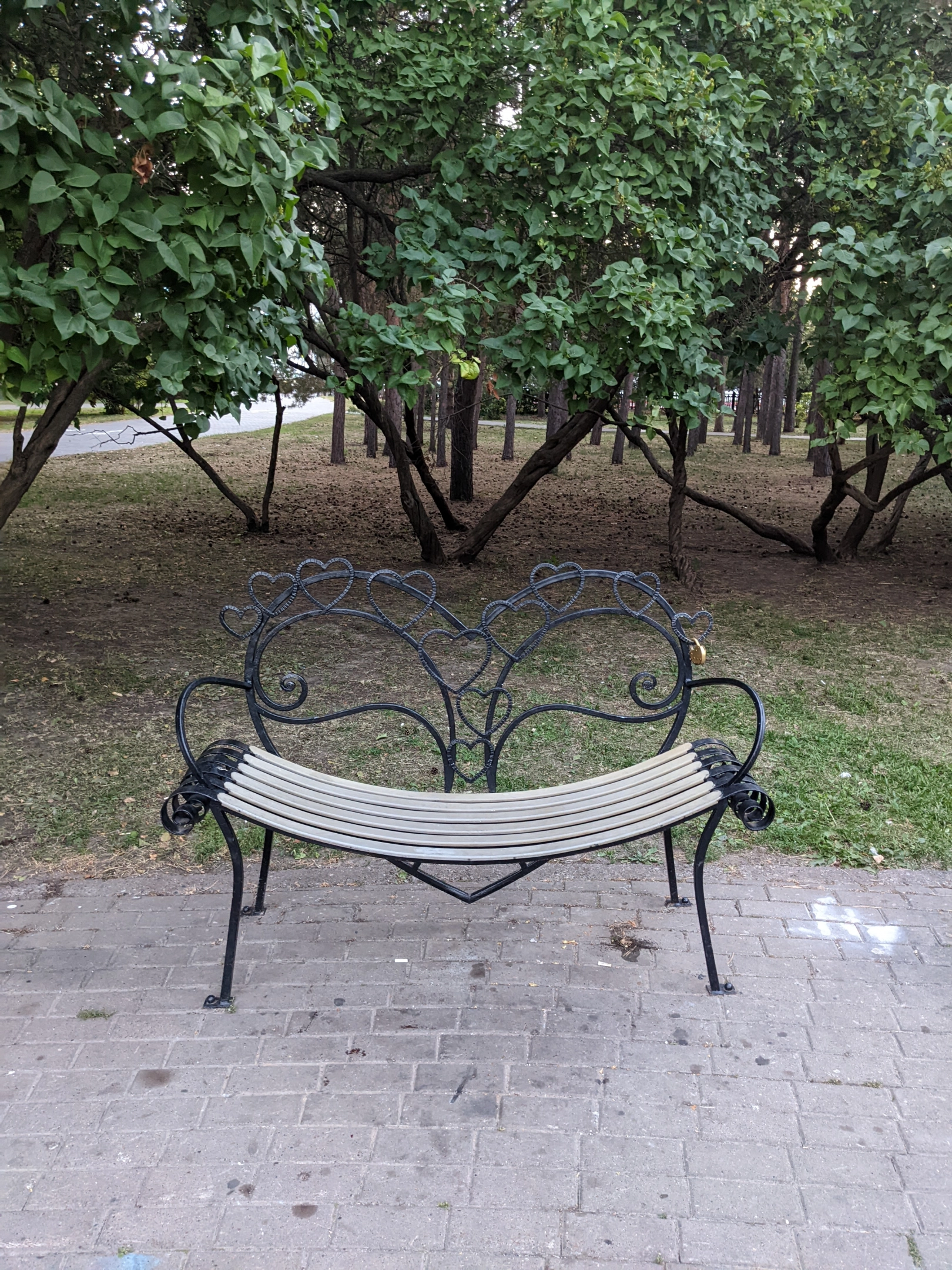 Скамейка Сердце в Ленинском саду
