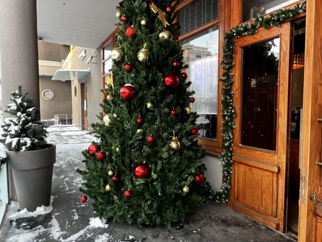 Новогодняя елка у гостиницы Ногай