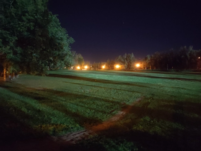 Зелёное поле в парке Горького