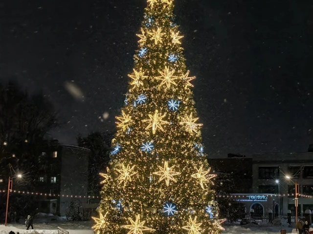Новогодняя елка на катке в сквере 100-летия строительной отрасли, на месте фонтана Комсомолец