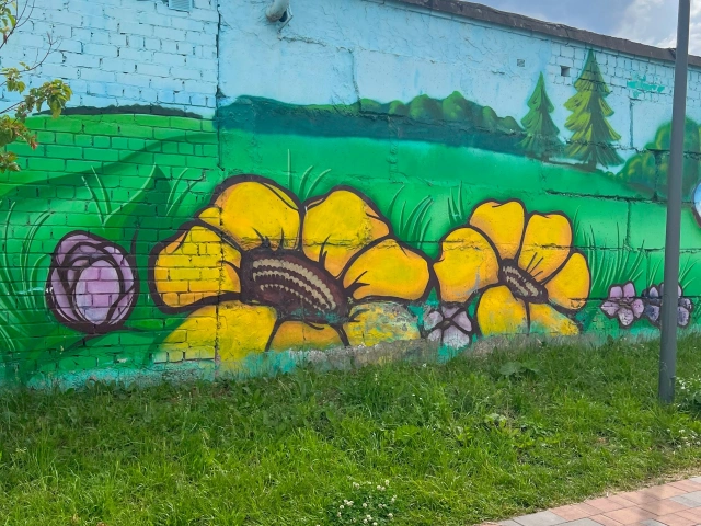 Граффити Цветы у озера Малое Чайковое