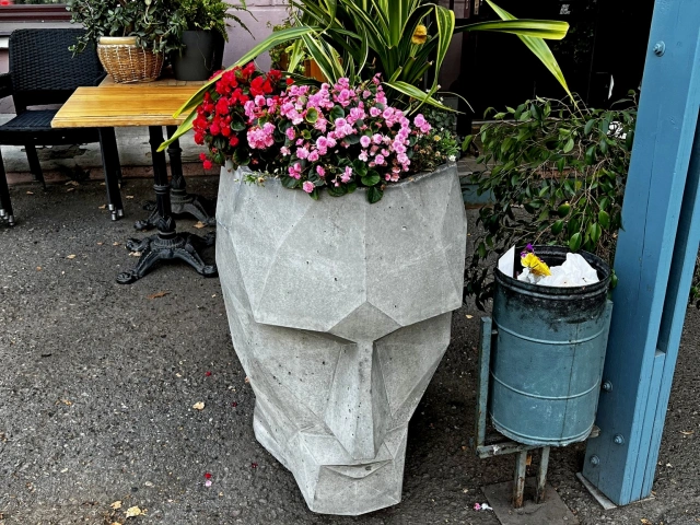 Скульптура из бетона Голова у Green dog, Бутлерова 45