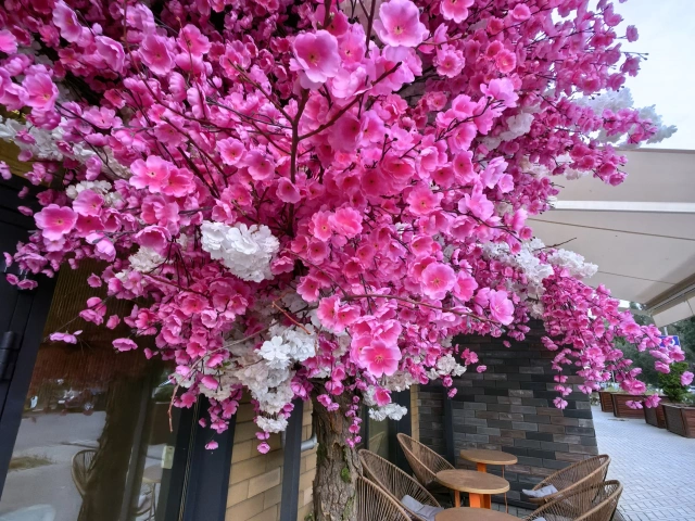 Розовая декорация у кафе Green B на Столбова