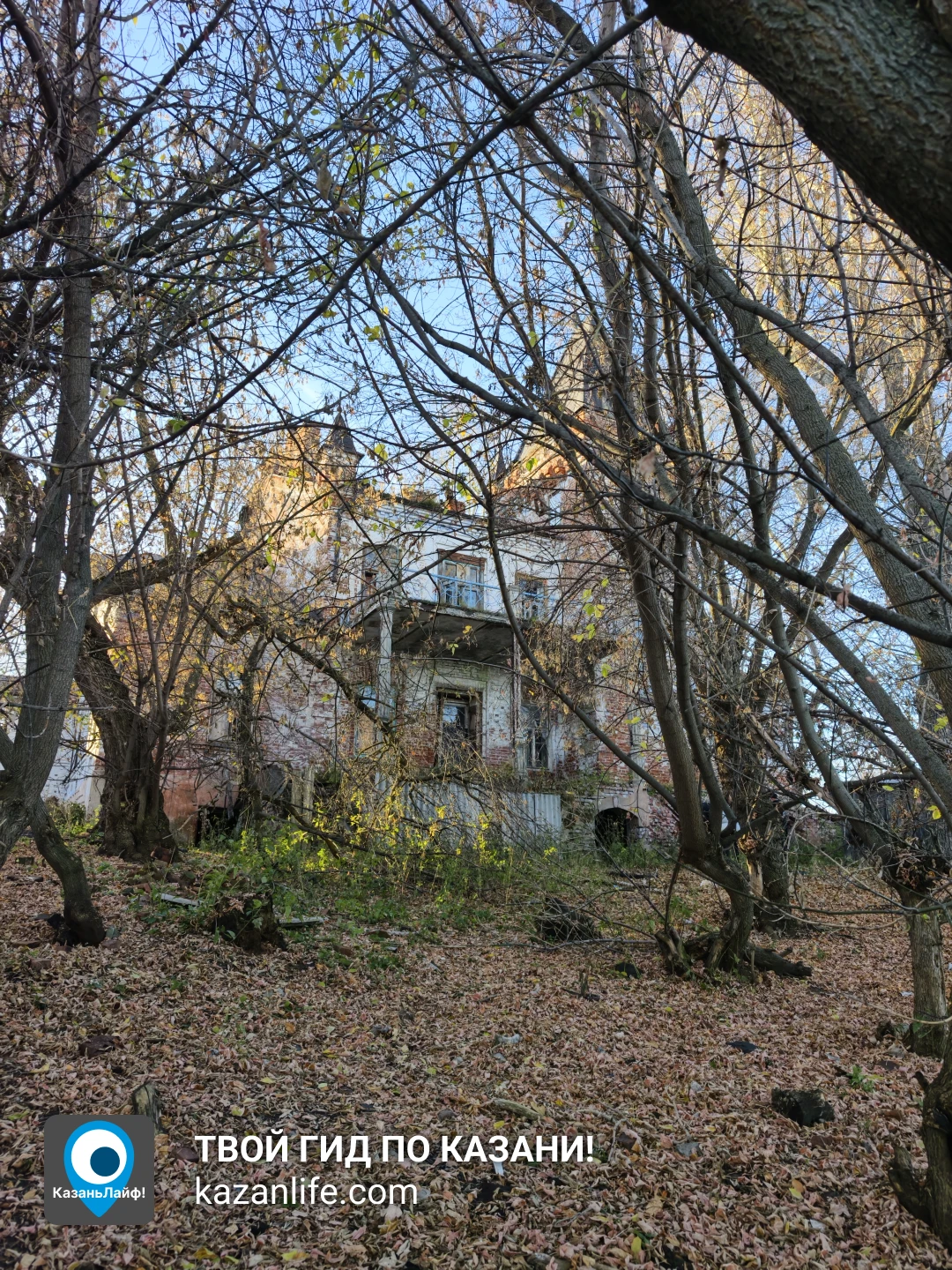 Усадьба маркиза Паулуччи &mdash; фото 9