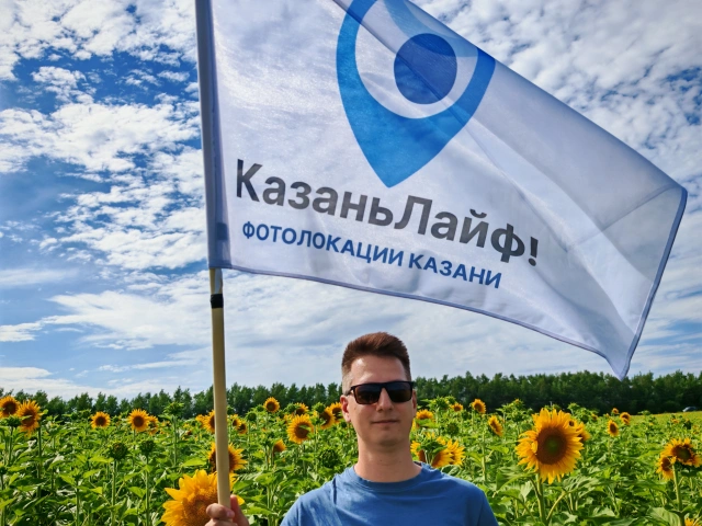 Поле с подсолнухами в 2025