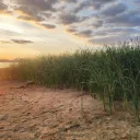 Песчаный пляж Локоматив 3