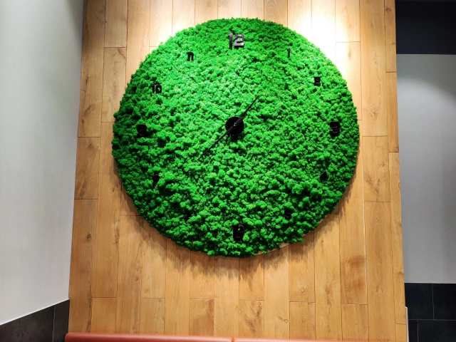 Декорация Часы из мха в кафе На точке, Корстон