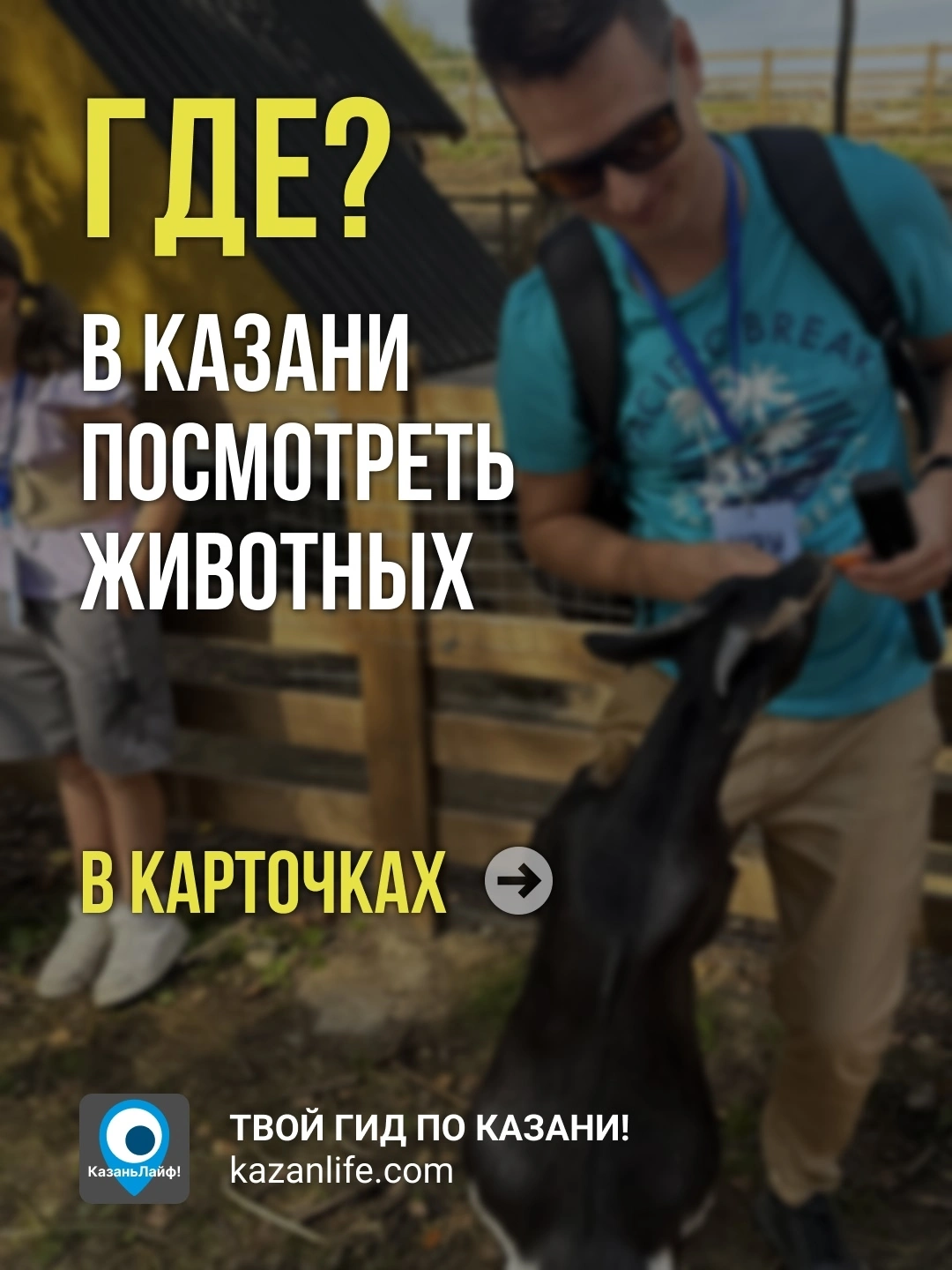 Где в Казани посмотреть на животных