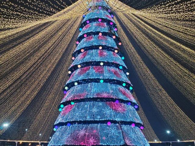 Главная новогодняя елка Казани у Чаши Главная новогодняя елка Казани у Чаши