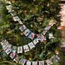 Ногай на Баумана 2