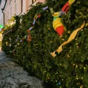 Фотозона ресторана Супра 0