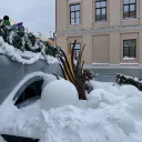 Новогодняя ёлка в сквере Зиланта 0