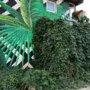 Стена с тропическим принтом Листья на Бондаренко (гаражный комплекс) 2