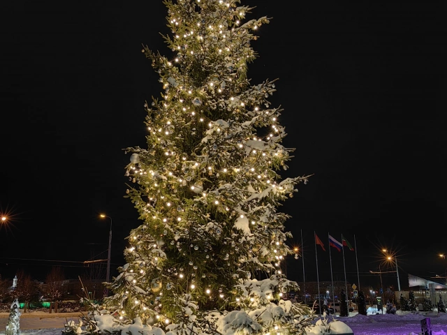 Новогодняя елка у ИТ парка имени Баширова