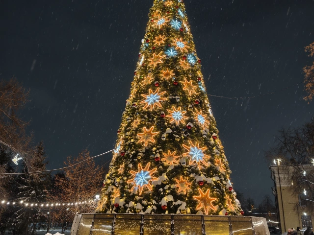 Новогодняя елка в сквере Филармонии