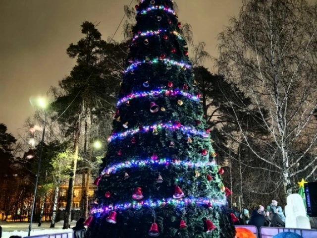 Открытие елки Парк им. Урицкого