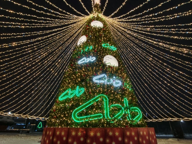 Новогодняя елка у театра Экият