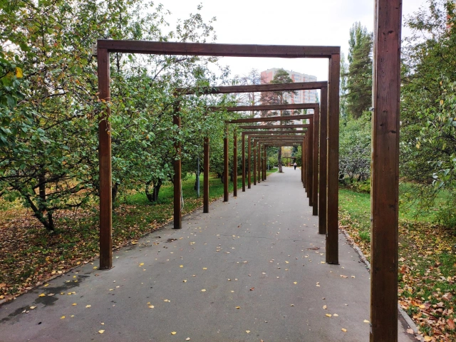 Деревянные арки в сквере Васильченко
