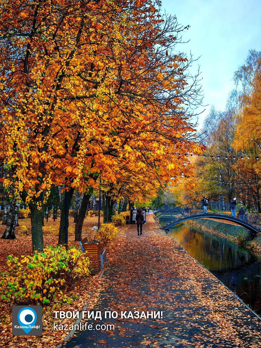 Осенний парк Урицкого Осенний парк Урицкого