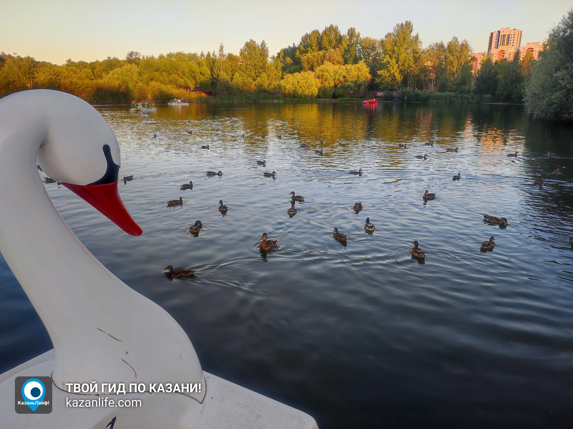 Маршрут от парка Победы до Чаши