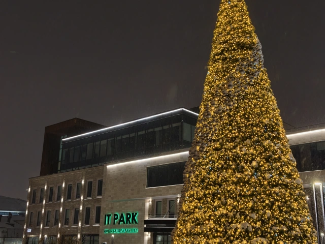 Новогодняя ёлка у ИТ парка