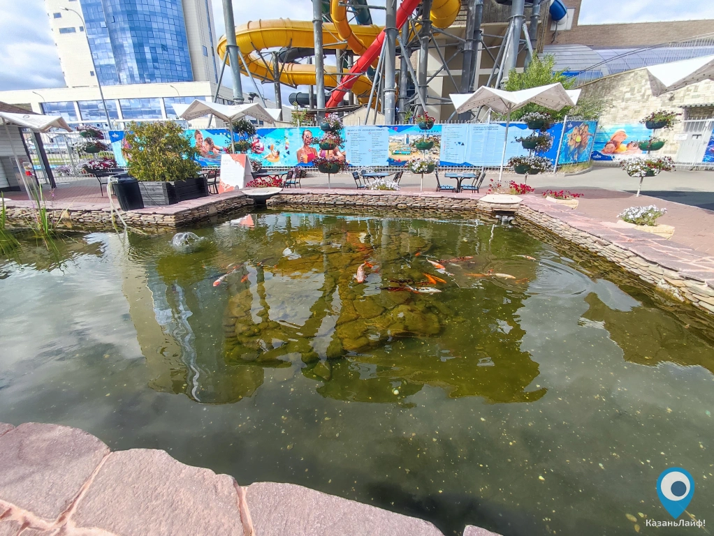 Пруд с рыбками в аквапарке Ривьера