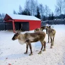 Ферма гномов 2