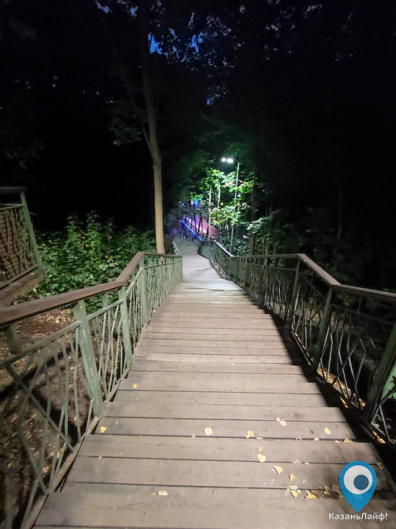 Лестница в Горкинско-ометьевском лесу