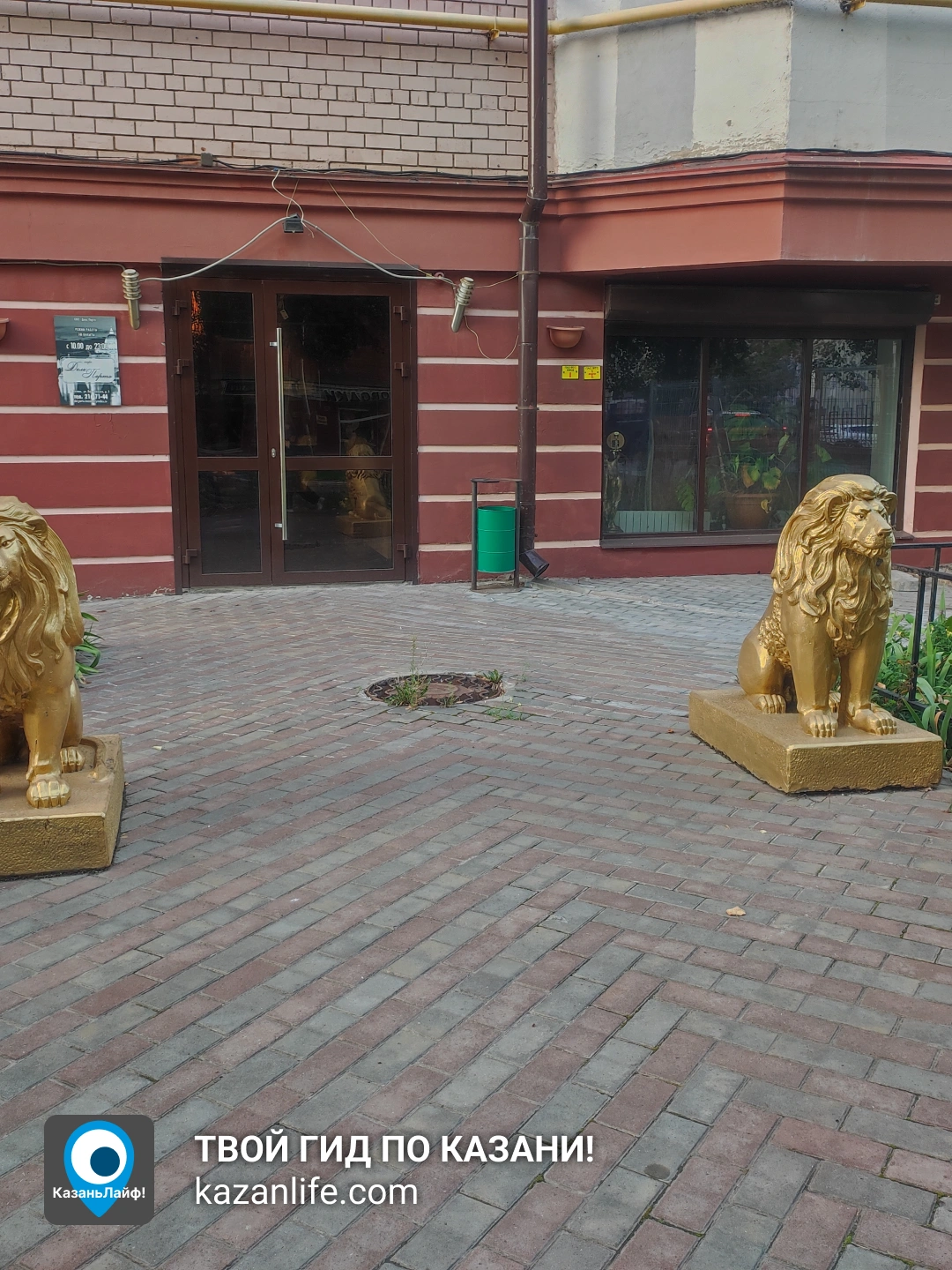 Золотые львы