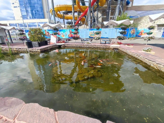 Пруд с рыбками в аквапарке Ривьера